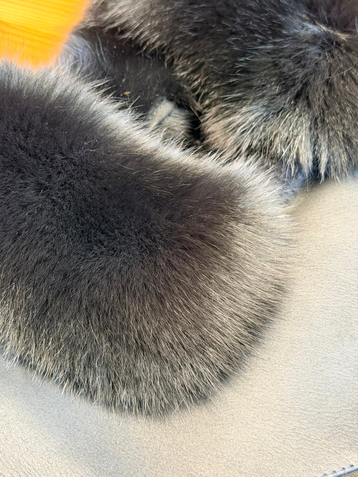 Pattern layout on full-grain calf